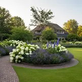 Lei-olijfwilg - Elaeagnus Ebbingei