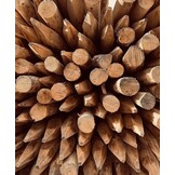 Kastanjepaal | 120-250 cm | 6-8 cm doorsnee | Geschild