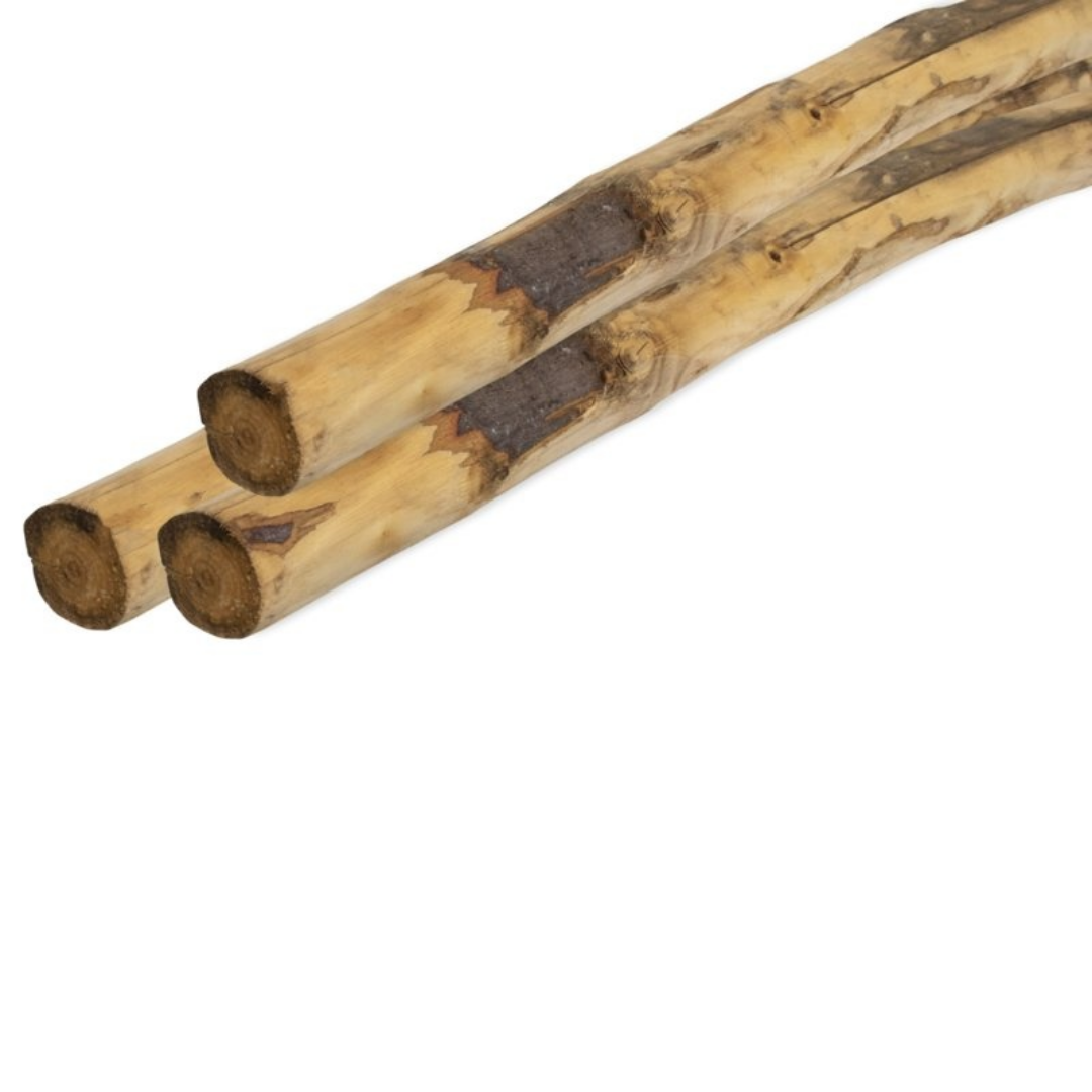Kastanjepaal | 100-300 cm | 8-10 cm doorsnee | Geschild
