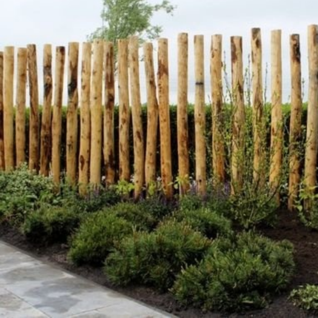 Kastanjepaal | 100-300 cm | 8-10 cm doorsnee | Geschild