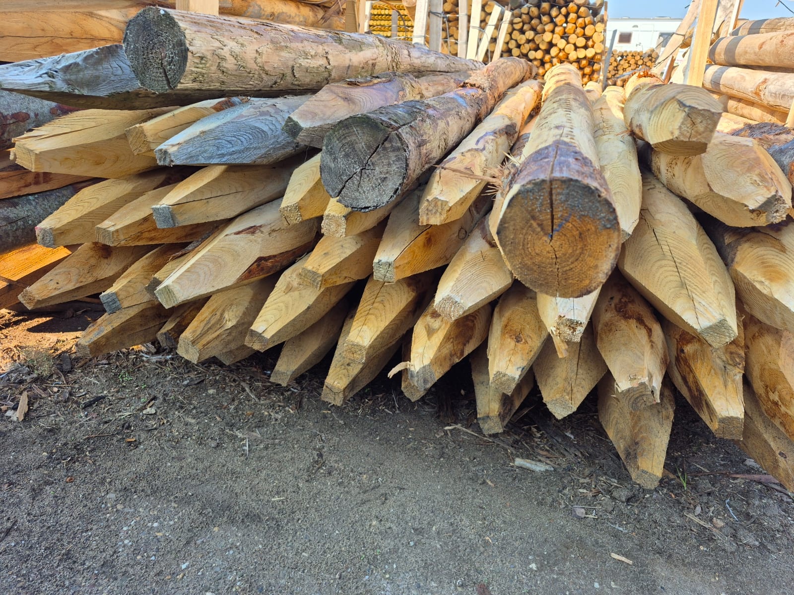 Kastanjepaal | 250-400 cm | 12-14 cm doorsnee | Geschild