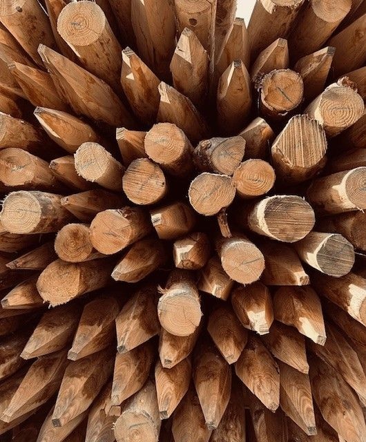 Kastanjepaal | 250-400 cm | 12-14 cm doorsnee | Geschild