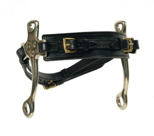 Hackamore Short