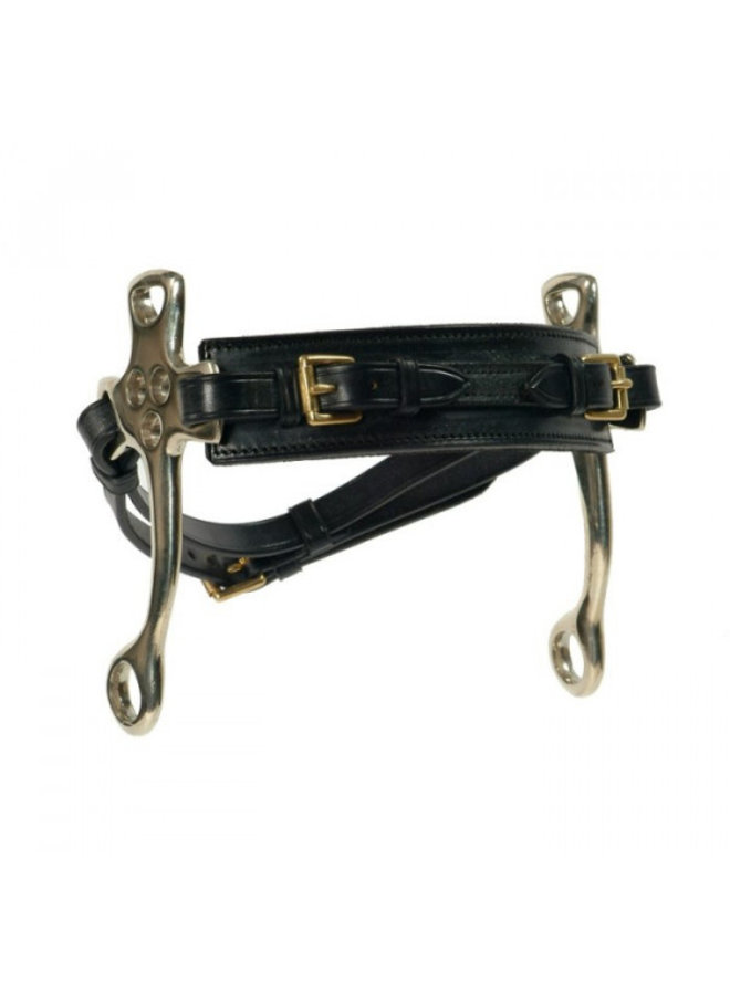 English hackamore GB