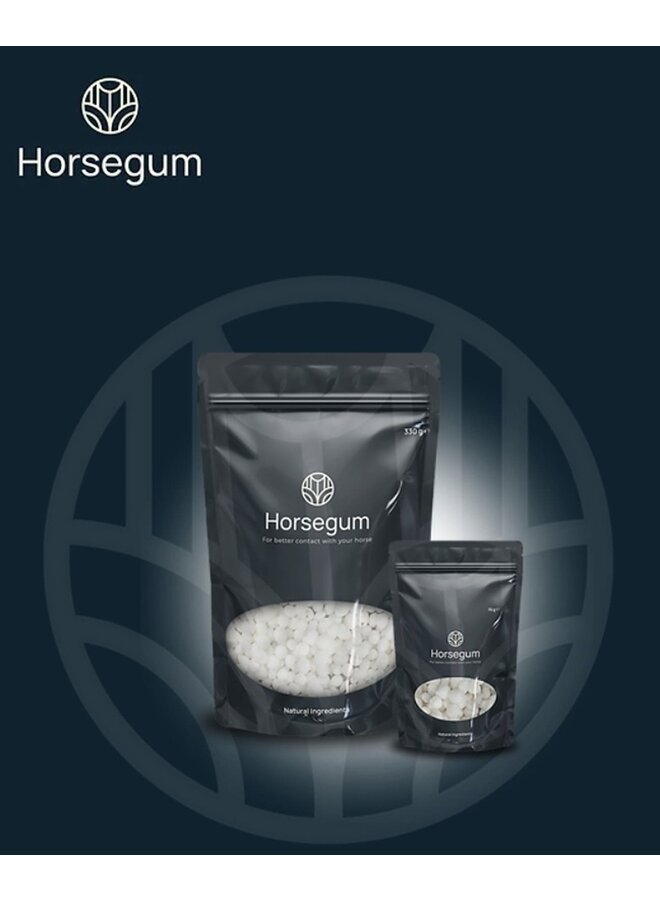– For a Better Connection With Your Horse