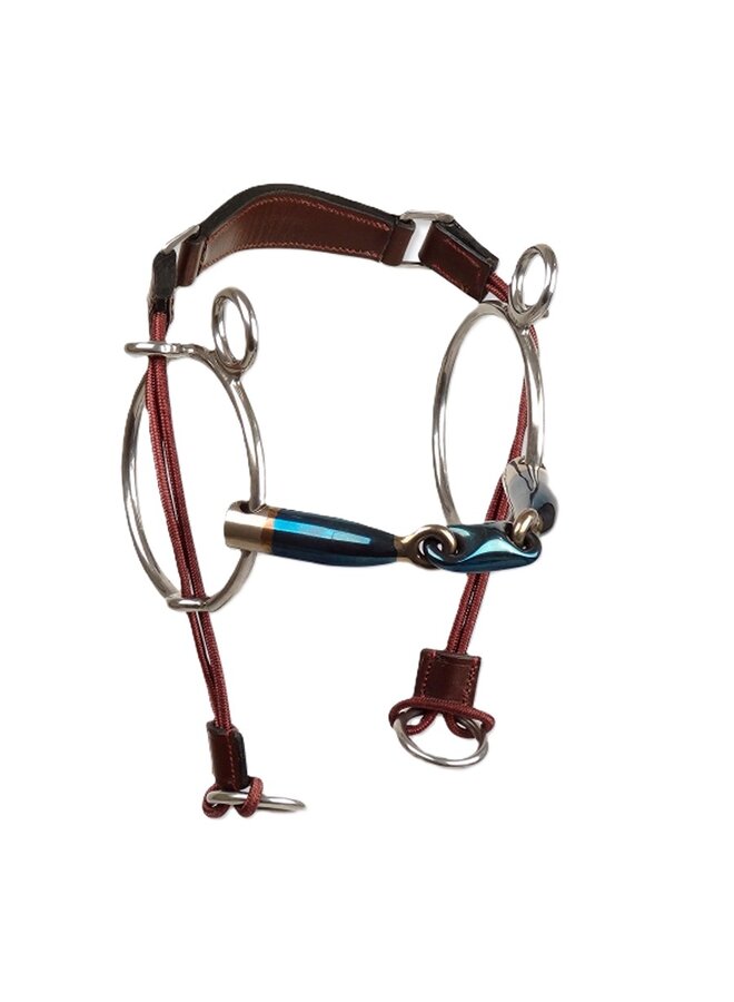 Sweet Iron Curb Gag Elliptical