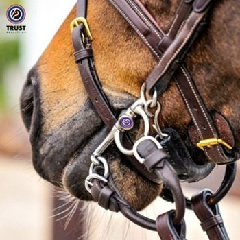 Trust Equestrian