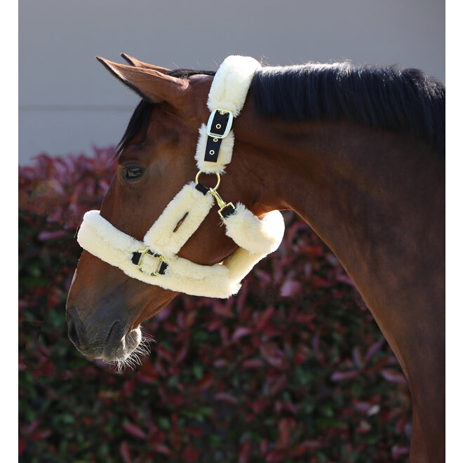 Sheepskin Shipping Halter