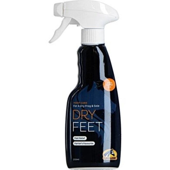 Dry Feet