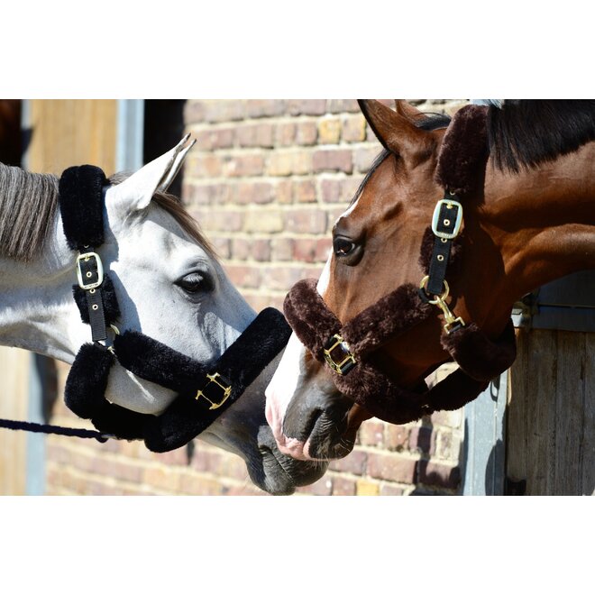 Sheepskin Shipping halter