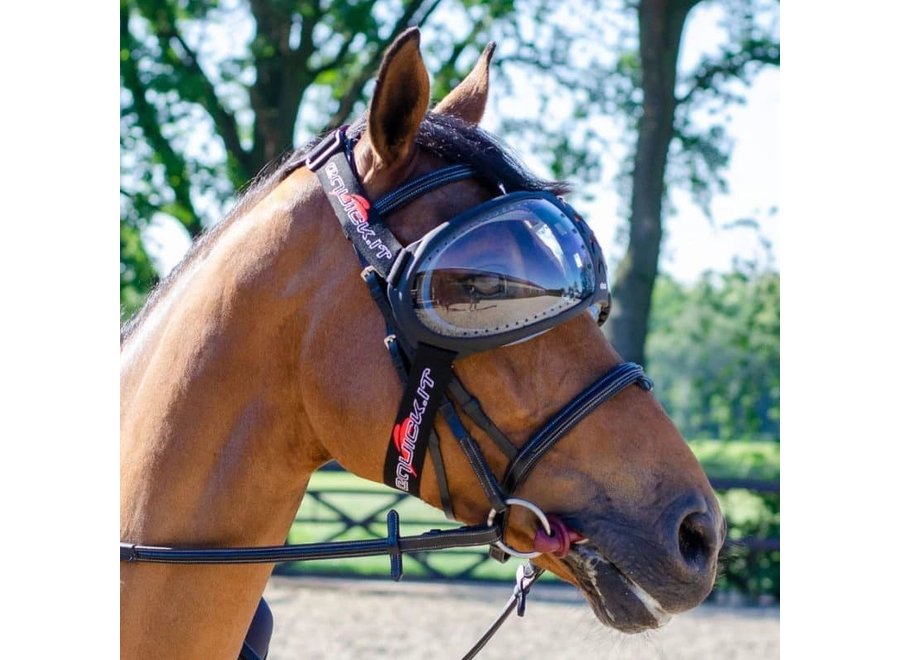 eVysor paarden beschermingsbril