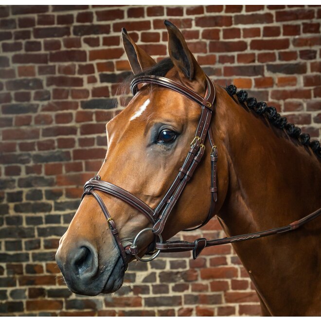 Flash Noseband Bridle