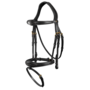 Collection Anatomic Flash Noseband Bridle