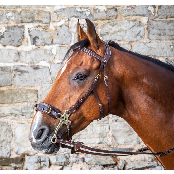 Kollektion Hackamore Trense