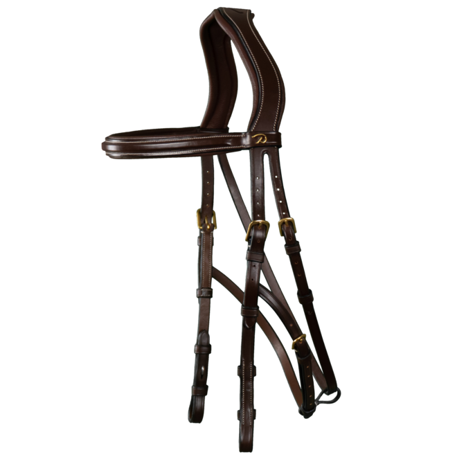 Hackamore Bridle