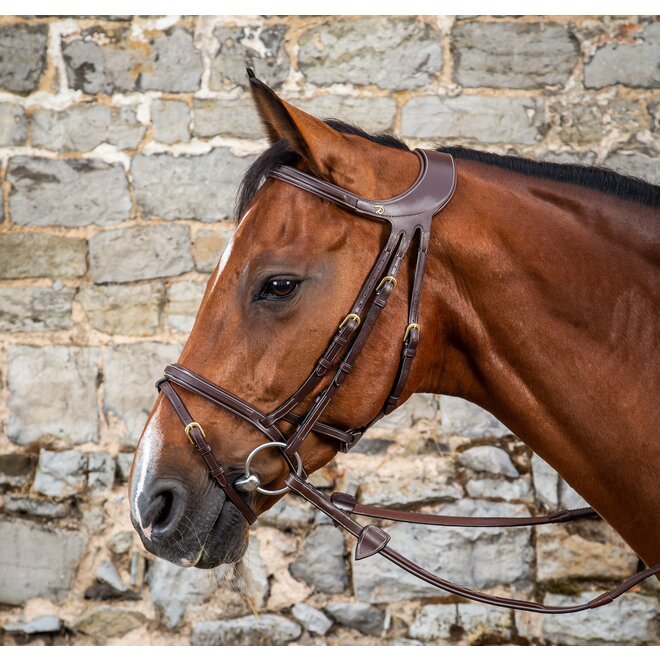 Difference Therapeutic Bridle