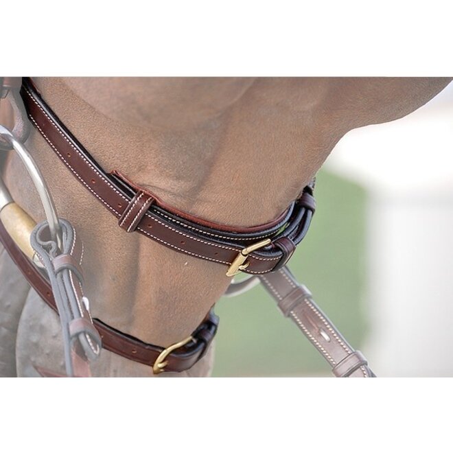 Double Noseband