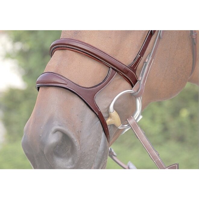 Double Noseband