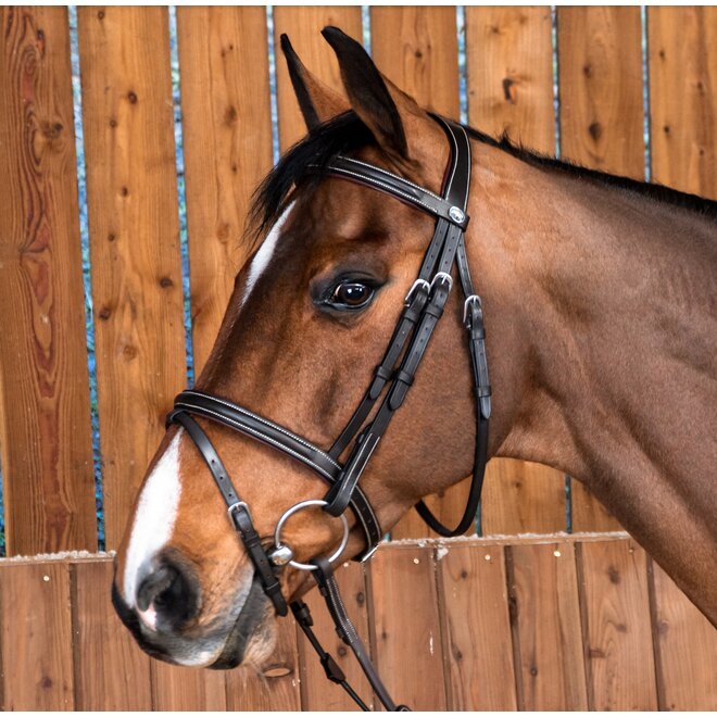 Flash Noseband Bridle