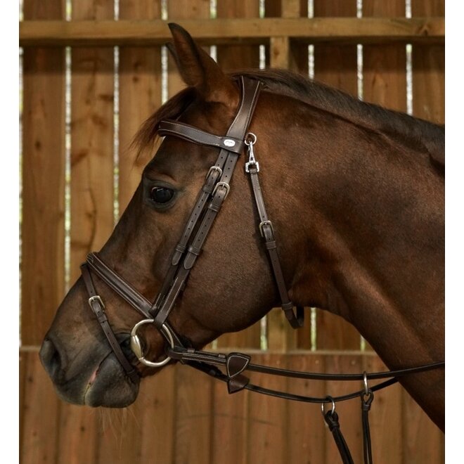 Working Collectie Hoofdstel Gecombineerde Neusriem Clip