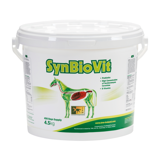 SynBioVit