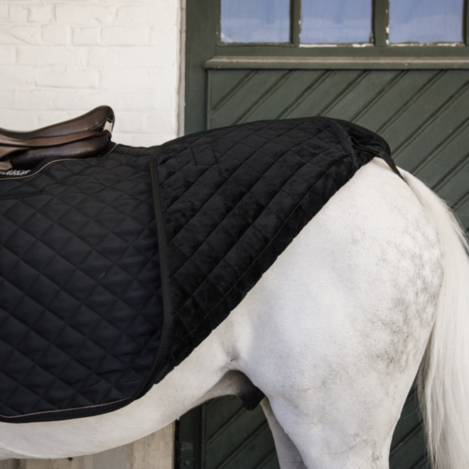 Quarter Exercise Rug