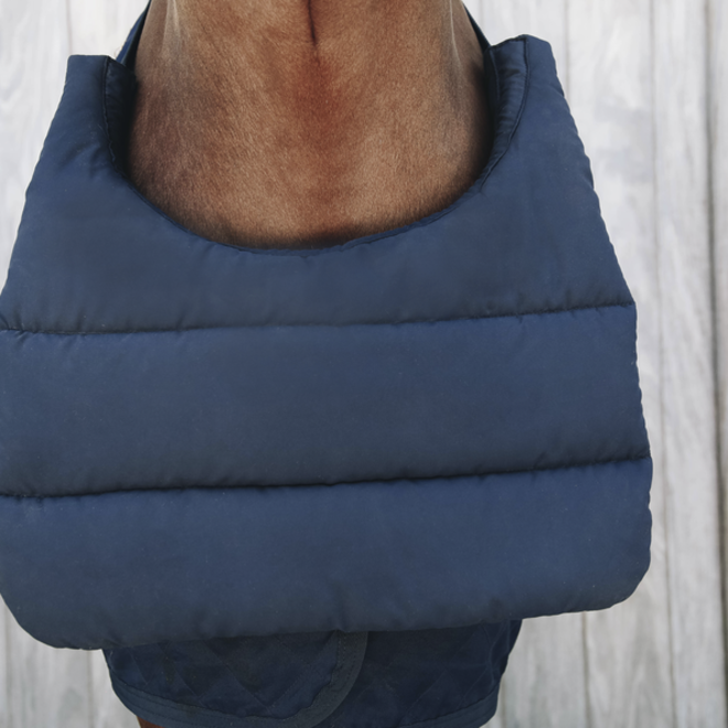 Paarden BIB