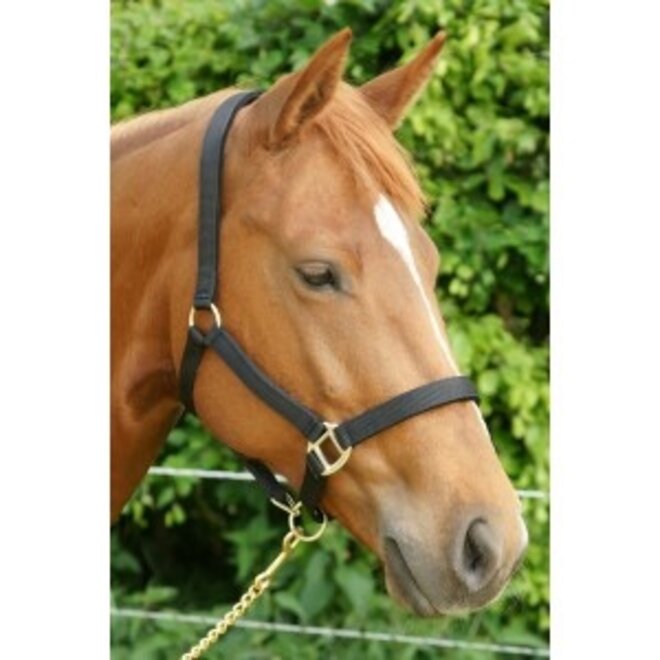 Headcollar nylon neoprene padded full