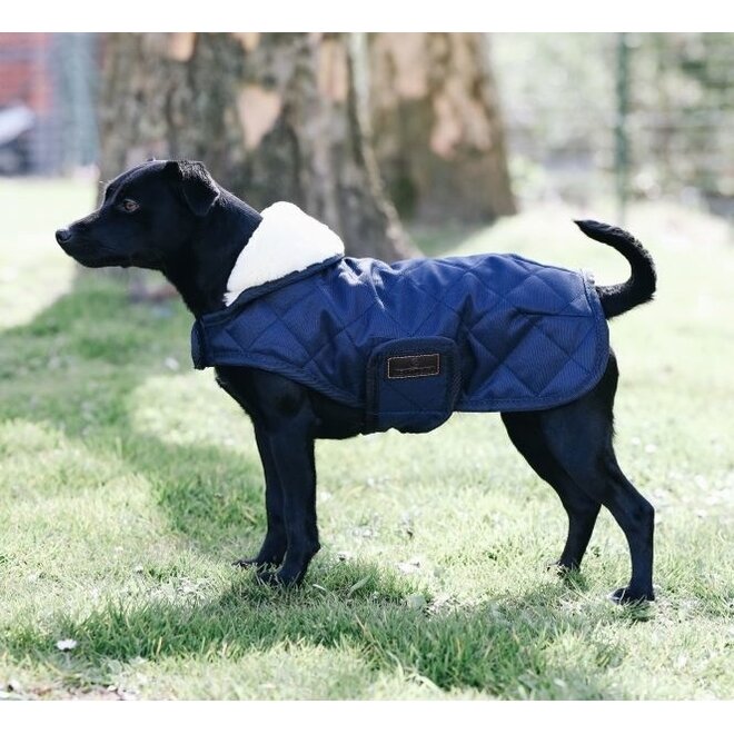 Kentucky Dog coat - Horseonline.com