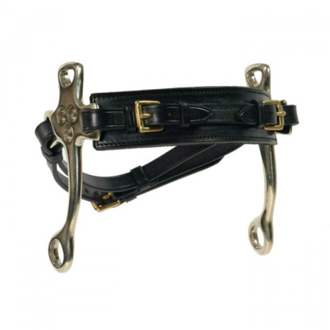 Engelse Hackamore