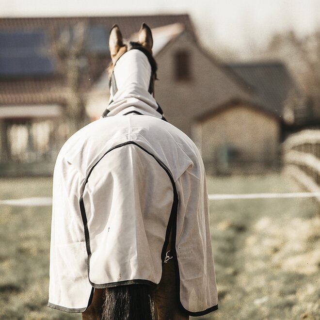 Fly Rug