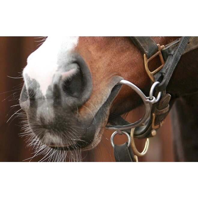 Chifney - Steiger Gebiss - 14cm