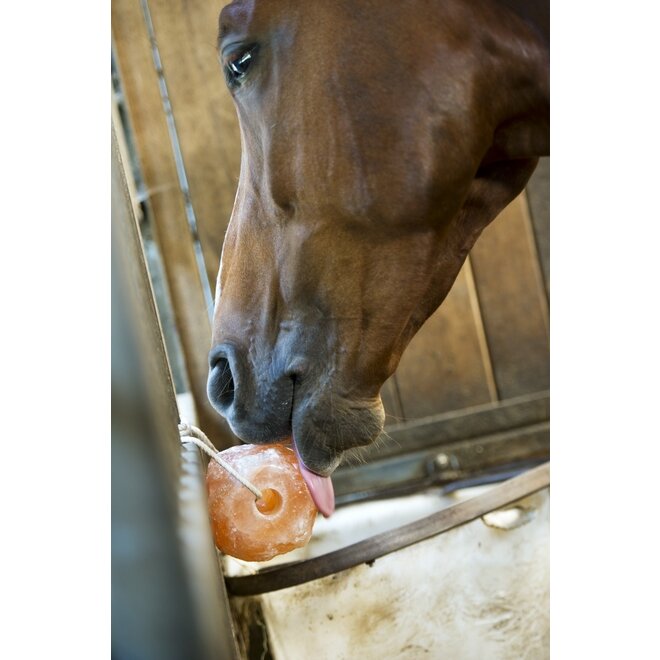 Himalayan Salt Lick