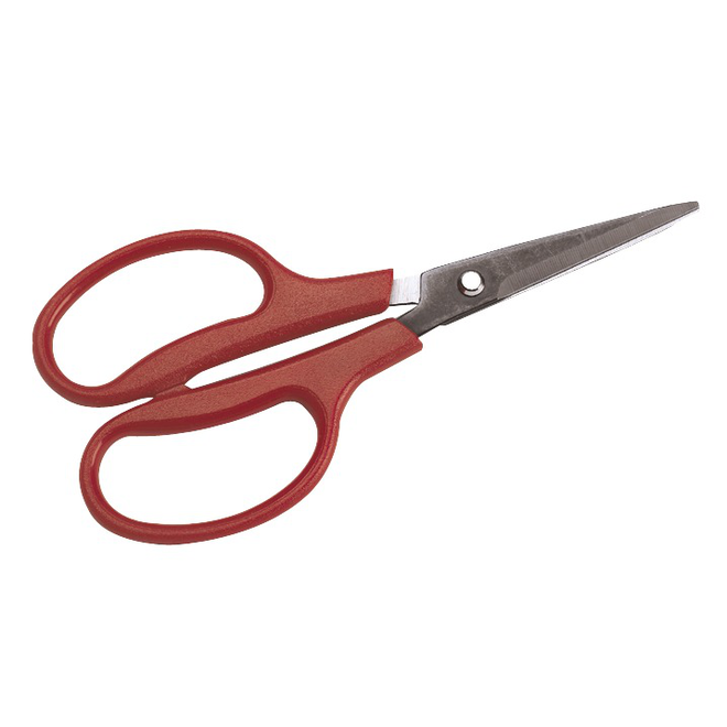 Scissors Medium Size