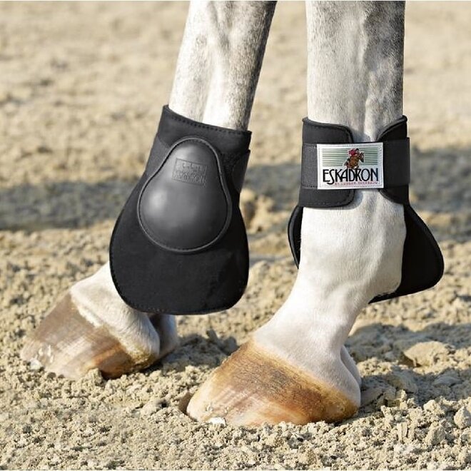 Fetlock Boots Special