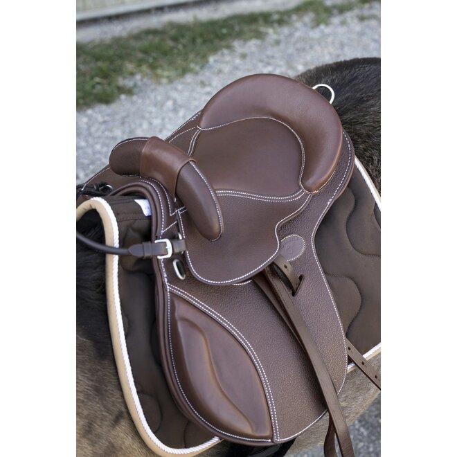 Evolution Educative Ponysattel