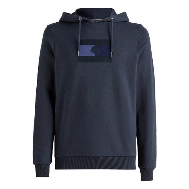 Embroidery Logo Hoodie Heren Desert Sky