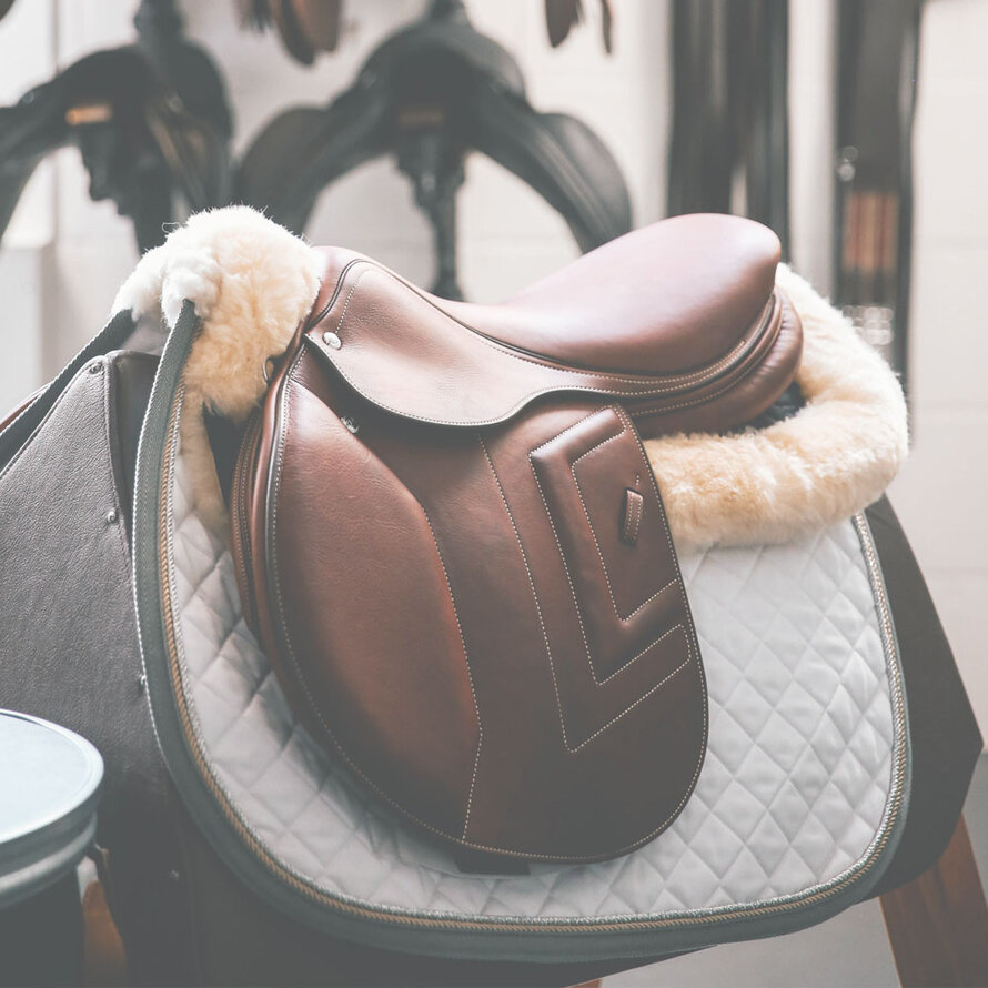 Saddle & SaddleLease