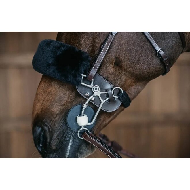 Hackamore protection leather