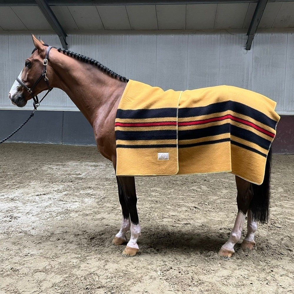 Paddock Whitney Wool Horse Rug Horseonline