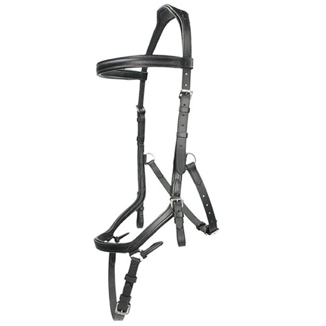 Micklem competition bridle