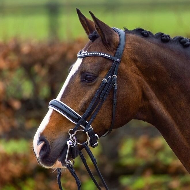 Aachen Double Bridle With Patent Large Crank Noseband