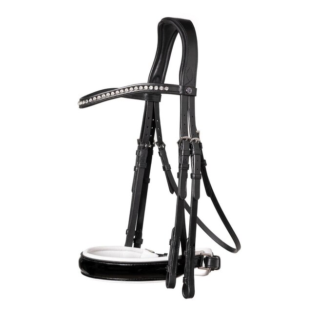 Aachen Double Bridle With Patent Large Crank Noseband