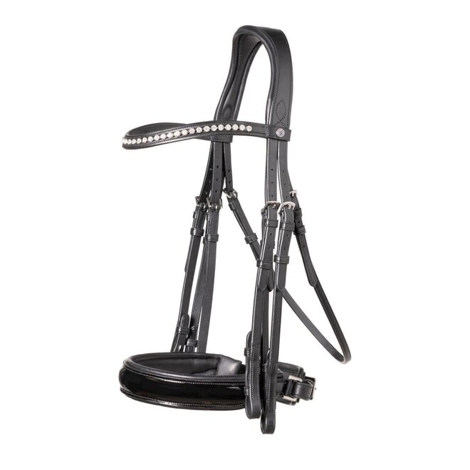 Aachen Double Bridle With Patent Large Crank Noseband