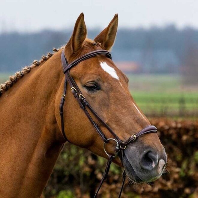 Barcelona Adjustable Drop Noseband Bridle