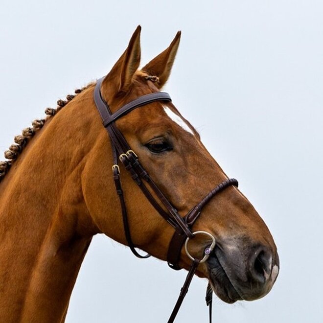 Dublin Leather Covered Rope Noseband Bridle