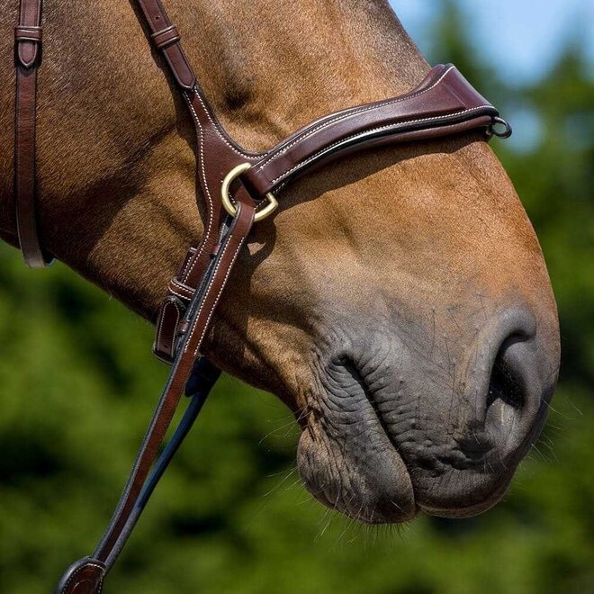 Falsterbo T-motion Bridle