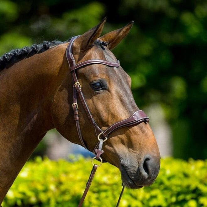 Falsterbo T-motion Hoofdstel