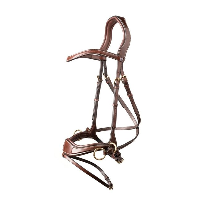 Falsterbo T-motion Bridle