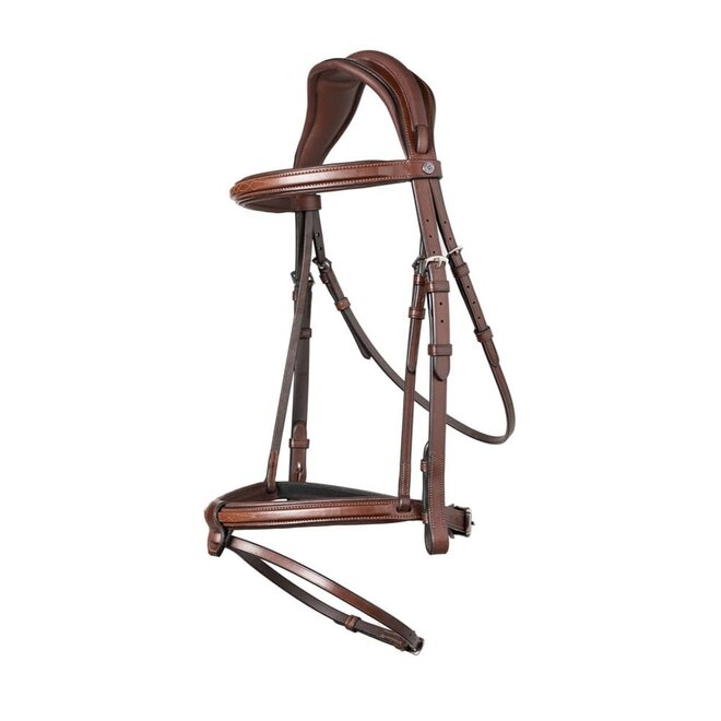 Geneva Combined Noseband Bridle